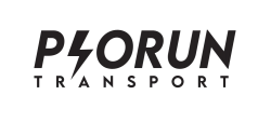 logo piorun tranposrt_czarne